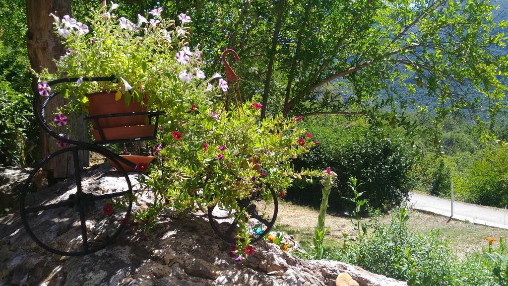 Apartment Mond Virpazar Bagian luar foto